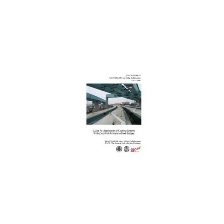 SSPC PA Guide 13/AASHTO/NSBA S8.1-2006